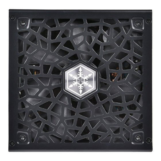 SilverStone ATX 3.0 HELA 850R Platinum 850W Cybenetics 12VHPWR Gen 5 Power Supply - Computer Power Supplies - Gamertech.shop